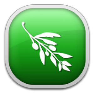 Olive_Video_Editor_Logo